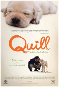 Quill The Life of a Guide Dog (2004) โฮ่ง (ฮับ) เจ้าตัวเนี้ยซี้ 100%