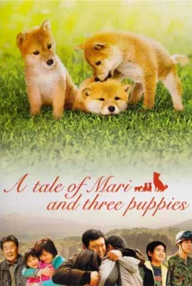 ดูหนัง ออนไลน์ A Tale of Mori and Three Puppies (Mari to koinu no monogatari) เต็มเรื่อง (2007) เพื่อนซื่อ ชื่อ มาริ