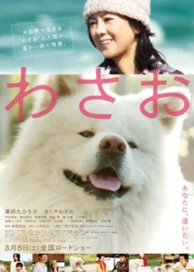 ดูหนัง ออนไลน์ Wasao เต็มเรื่อง (2011) วาซาโอะ