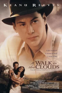 ดูหนัง ออนไลน์ A walk in the clouds เต็มเรื่อง