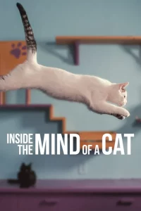ดูหนัง Inside the Mind of a Cat (2022)