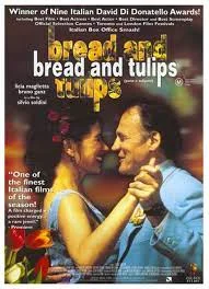ดูหนัง ออนไลน์ Pane e tulipani เต็มเรื่อง