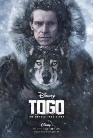 ดูหนัง Togo (2019) โทโก้ เต็มเรื่อง
