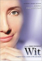 ดูหนัง ออนไลน์ Wit (2001) เต็มเรื่อง