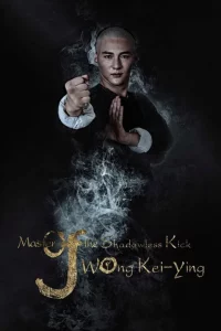 Master of the Shadowless Kick Wong Kei-Ying (2017) หวง ฉี อิง บาทาไร้เงา