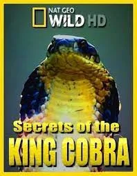 Secret of the King Cobra (2010)
