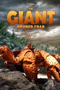 The Giant Robber Crab (2019) ปูมะพร้าวแห่งเกาะคริสต์มาส
