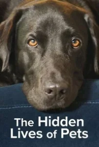 The Hidden Lives of Pets (2022) ชีวิตลับสัตว์เลี้ยง EP.1-4 (จบ)