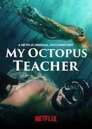 My Octopus Teacher (2020) บทเรียนจากปลาหมึก