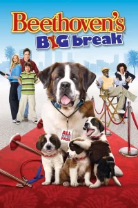 ดูหนัง Beethoven s Big Break (2008) บีโธเฟน ยอดคุณหมาดาราจำเป็น