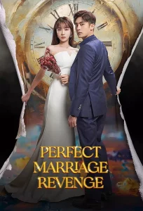 Perfect Marriage Revenge (2023) วิวาห์ลวง ชวนให้รัก EP.1-12 (จบ)