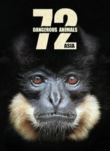 72 Dangerous Animals (2018) 72 สัตว์อันตราย EP.1-12 (จบ)