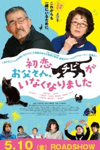 ดูหนัง Only The Cat Knows (2019) เจ้าเหมียวจิบิหายไปไหนนะ